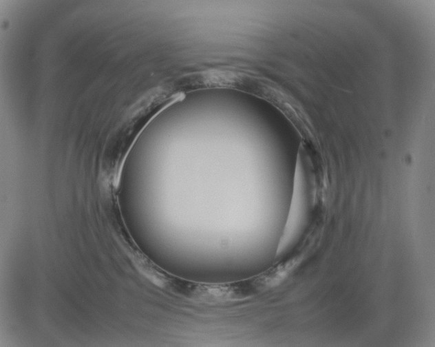 X0000080660329200612301341