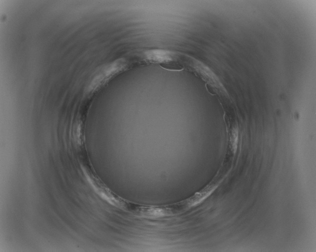 X0000080660330200612301341