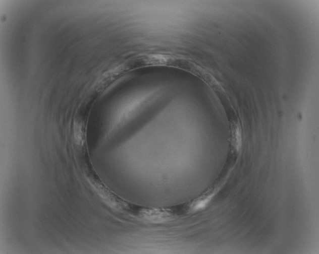 X0000080660331200612301341