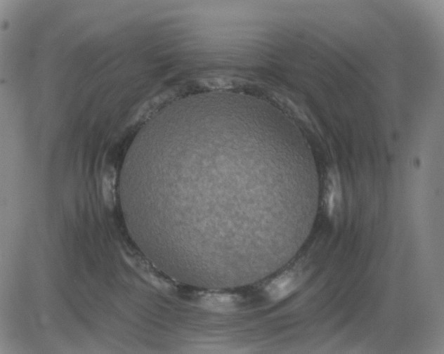 X0000080660332200612301341