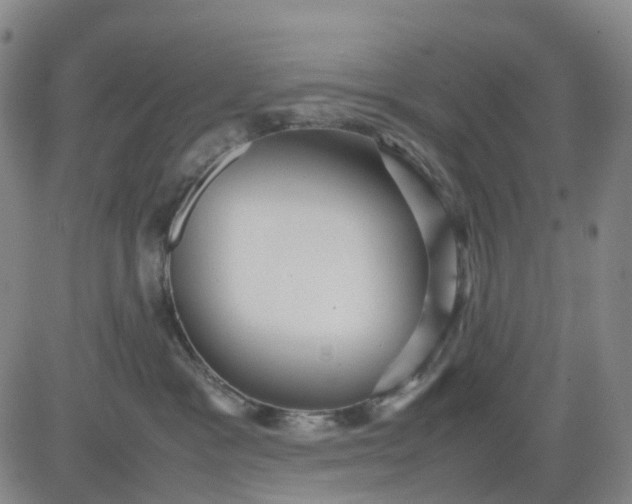 X0000080660333200612301341