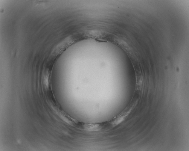 X0000080660334200612301341