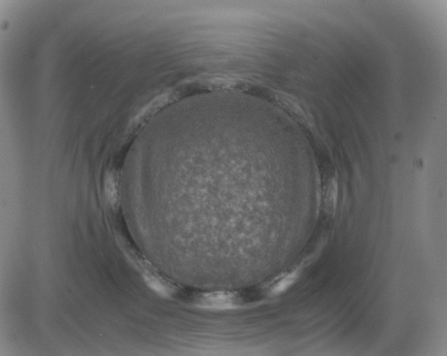 X0000080660335200612301341