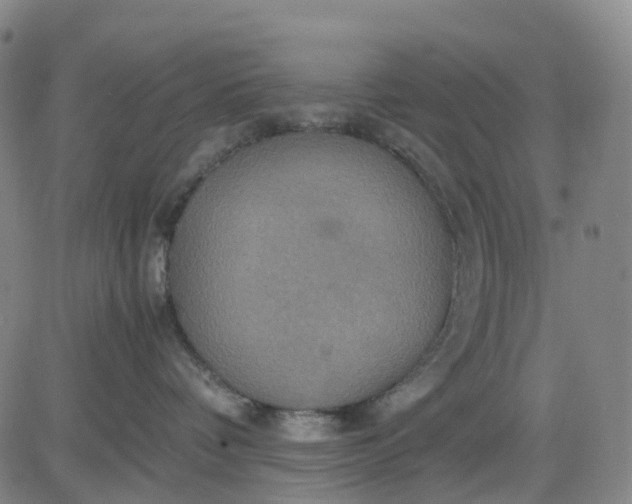 X0000080660336200612301341