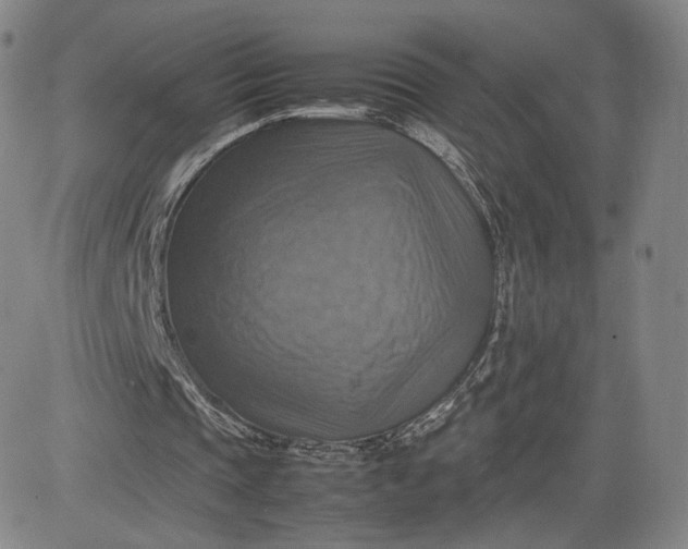 X0000080660337200612301340