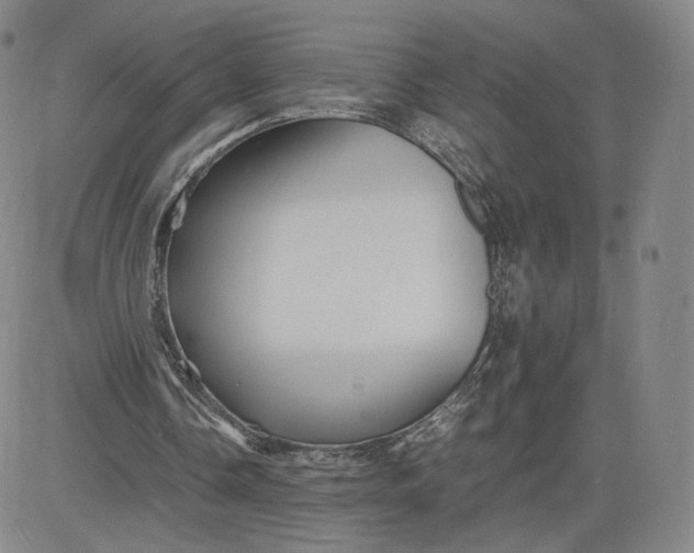 X0000080660338200612301340