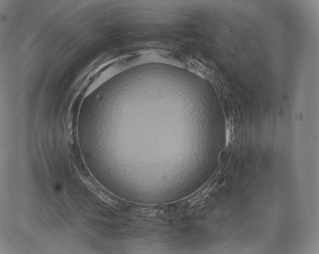 X0000080660339200612301341