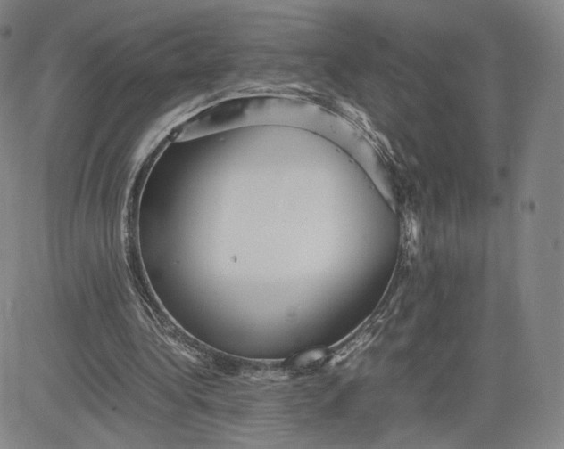 X0000080660340200612301341