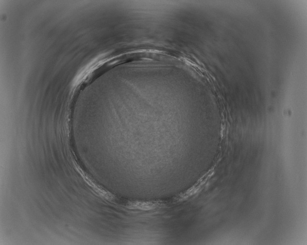 X0000080660341200612301341