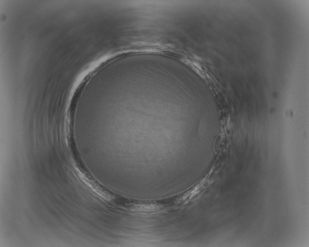 X0000080660342200612301341