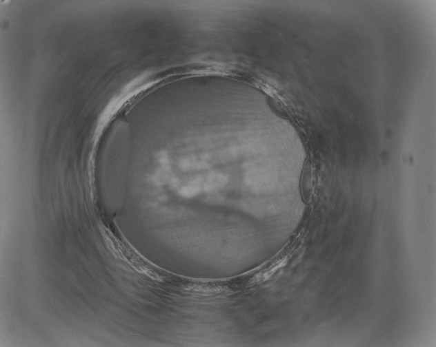 X0000080660343200612301341