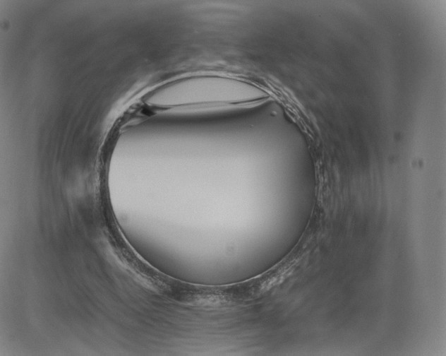 X0000080660344200612301341