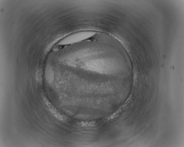 X0000080660345200612301341