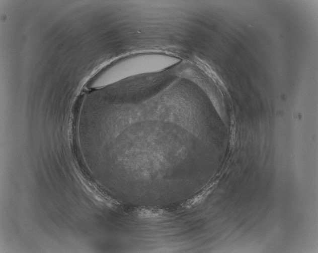 X0000080660346200612301341