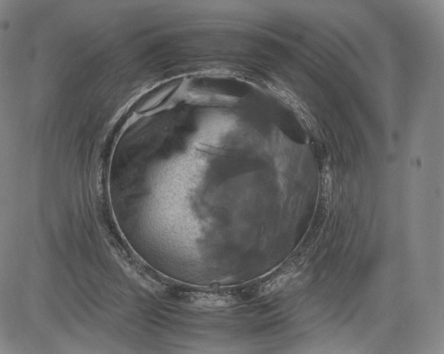 X0000080660347200612301341