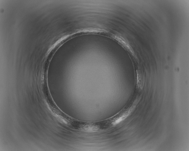 X0000080660348200612301341