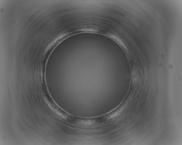 X0000080660349200612301341