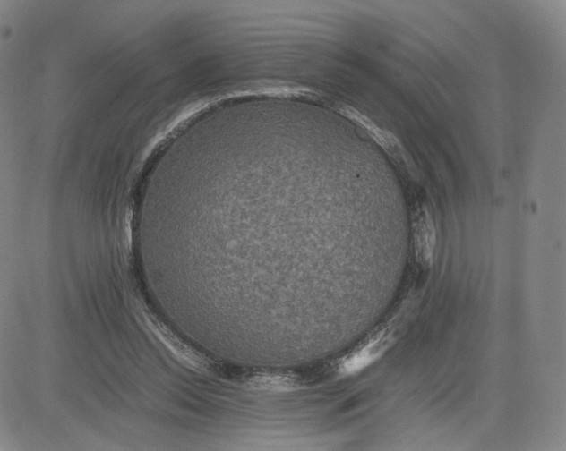 X0000080660350200612301341