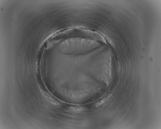 X0000080660351200612301341