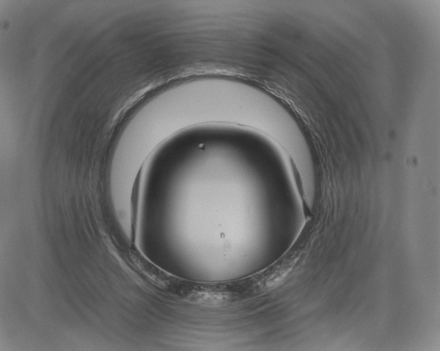 X0000080660352200612301341