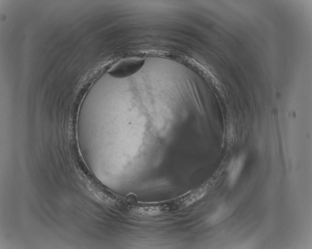 X0000080660353200612301341