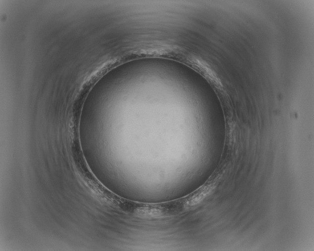 X0000080660354200612301341