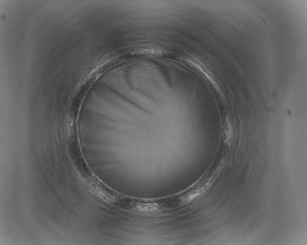 X0000080660355200612301341