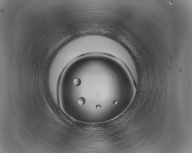 X0000080660356200612301341