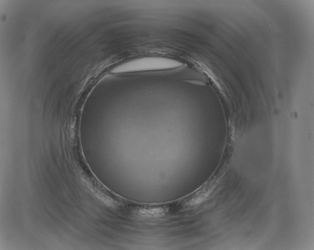 X0000080660357200612301341