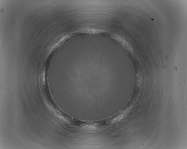 X0000080660358200612301341