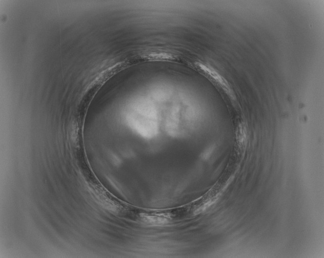 X0000080660359200612301341