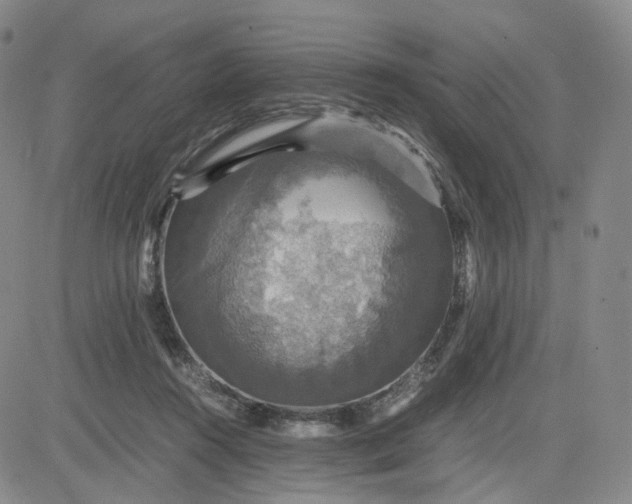 X0000080660360200612301341