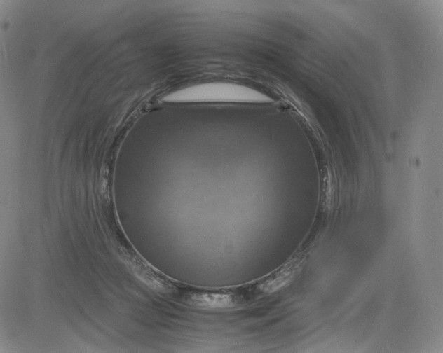 X0000080660361200612301341