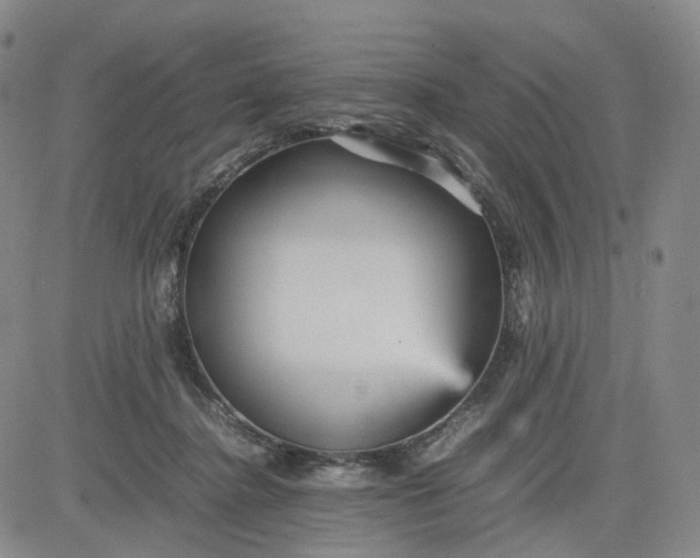 X0000080660364200612301341