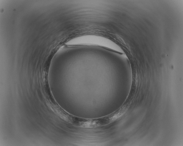 X0000080660366200612301341