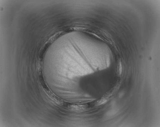 X0000080660367200612301341