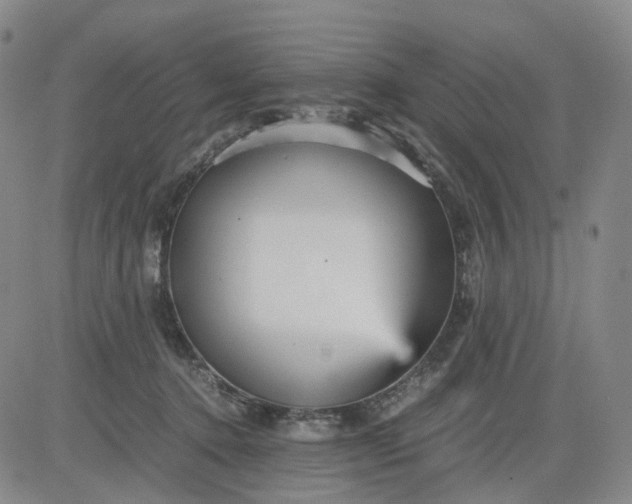 X0000080660368200612301341