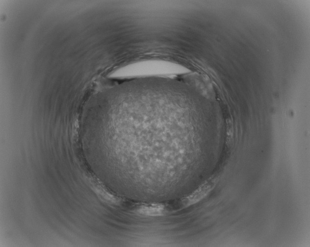 X0000080660369200612301341