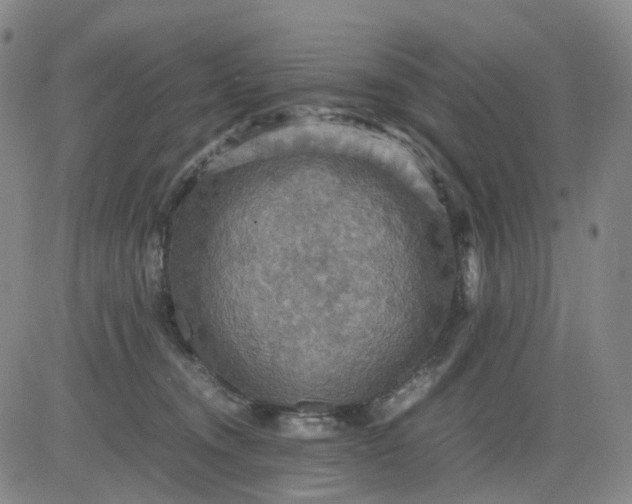 X0000080660372200612301341