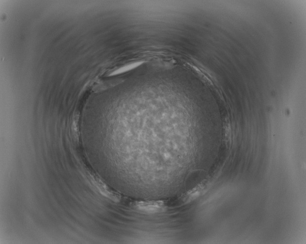 X0000080660373200612301341