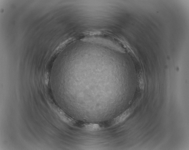 X0000080660374200612301341