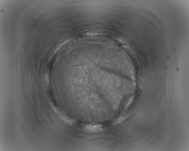 X0000080660375200612301341