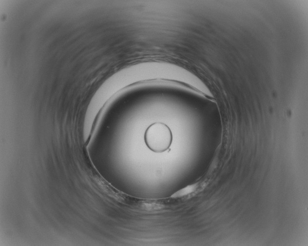 X0000080660376200612301341