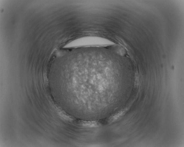 X0000080660377200612301341