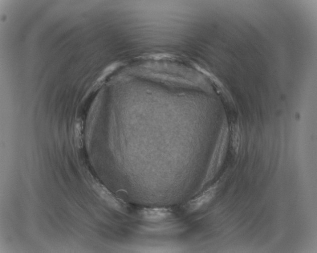 X0000080660378200612301341