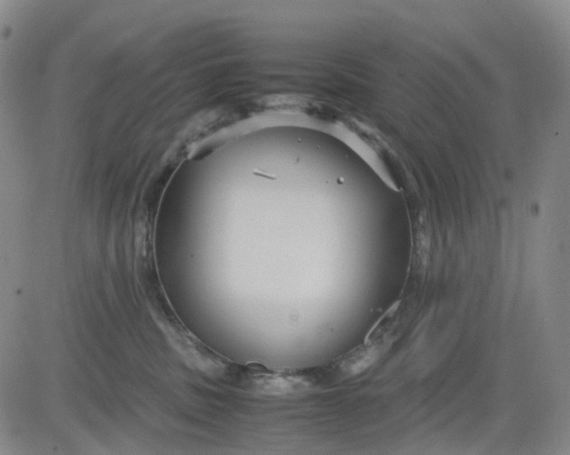 X0000080660379200612301341