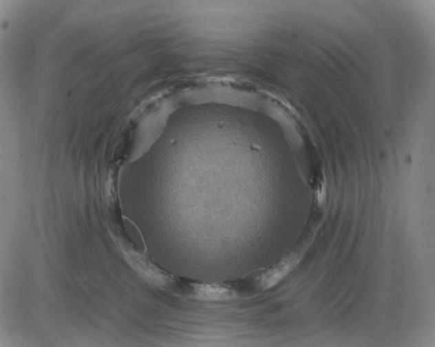 X0000080660380200612301341