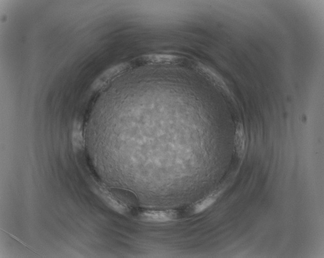 X0000080660381200612301341