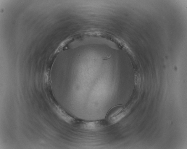 X0000080660382200612301341