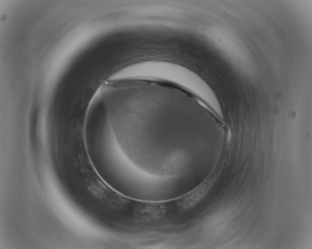 X0000080660383200612301341